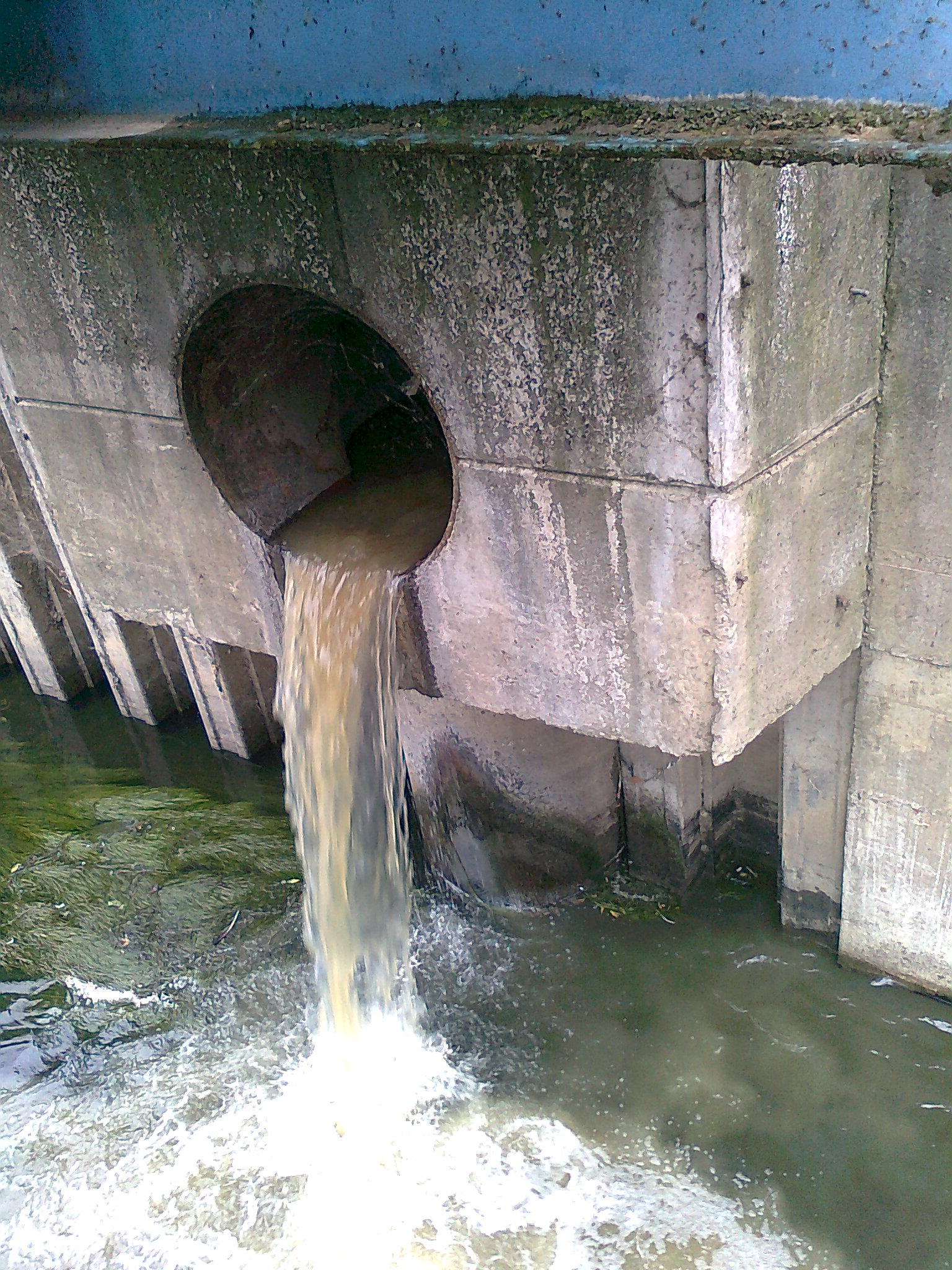 Impact Of Combined Sewer Overflows (CSO) On The Microbiological Quality ...